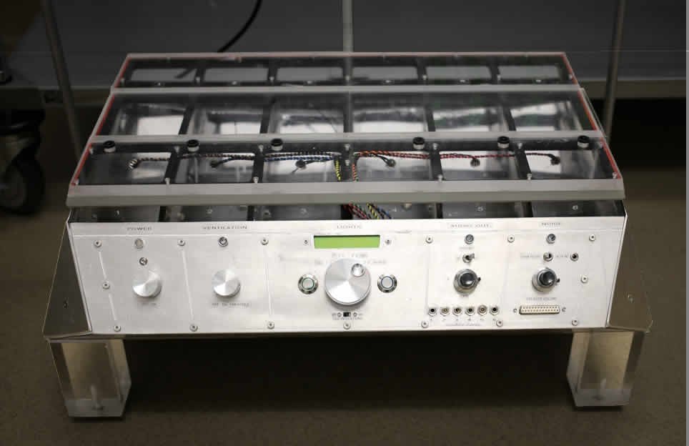 The six-chamber “itch detector” observation enclosure David built