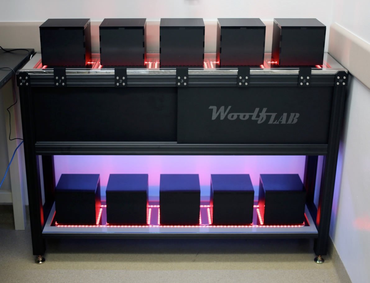 The ten-chamber behavior device David built in the Woolf lab
